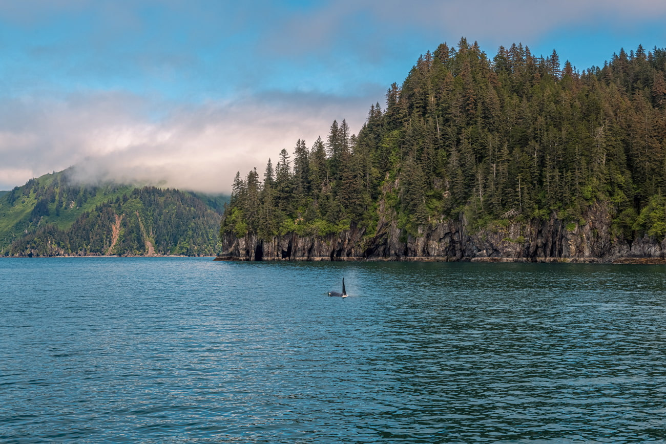 Kenai Fjords National Park, Alaska