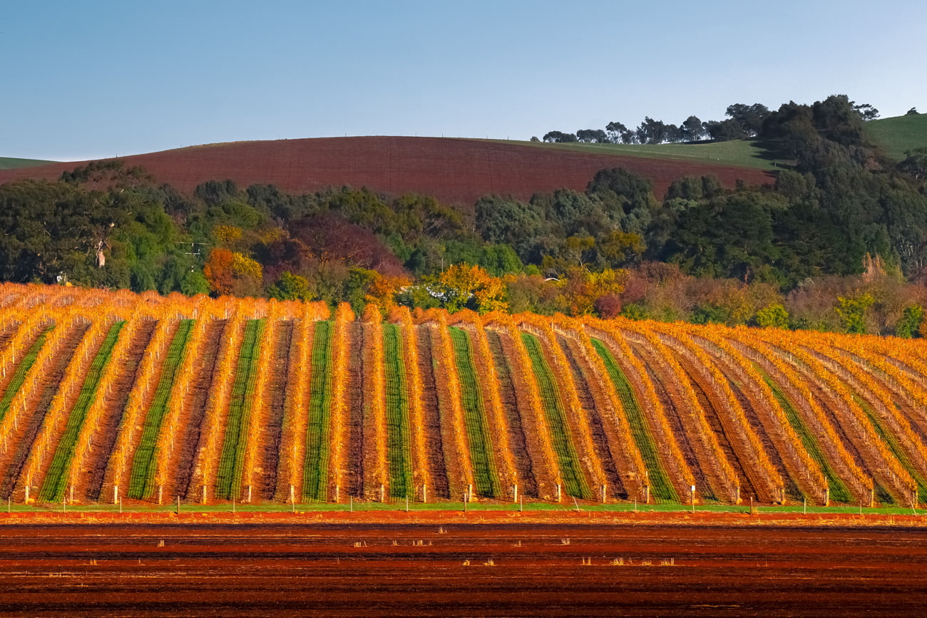 Underrated wine region in Australia