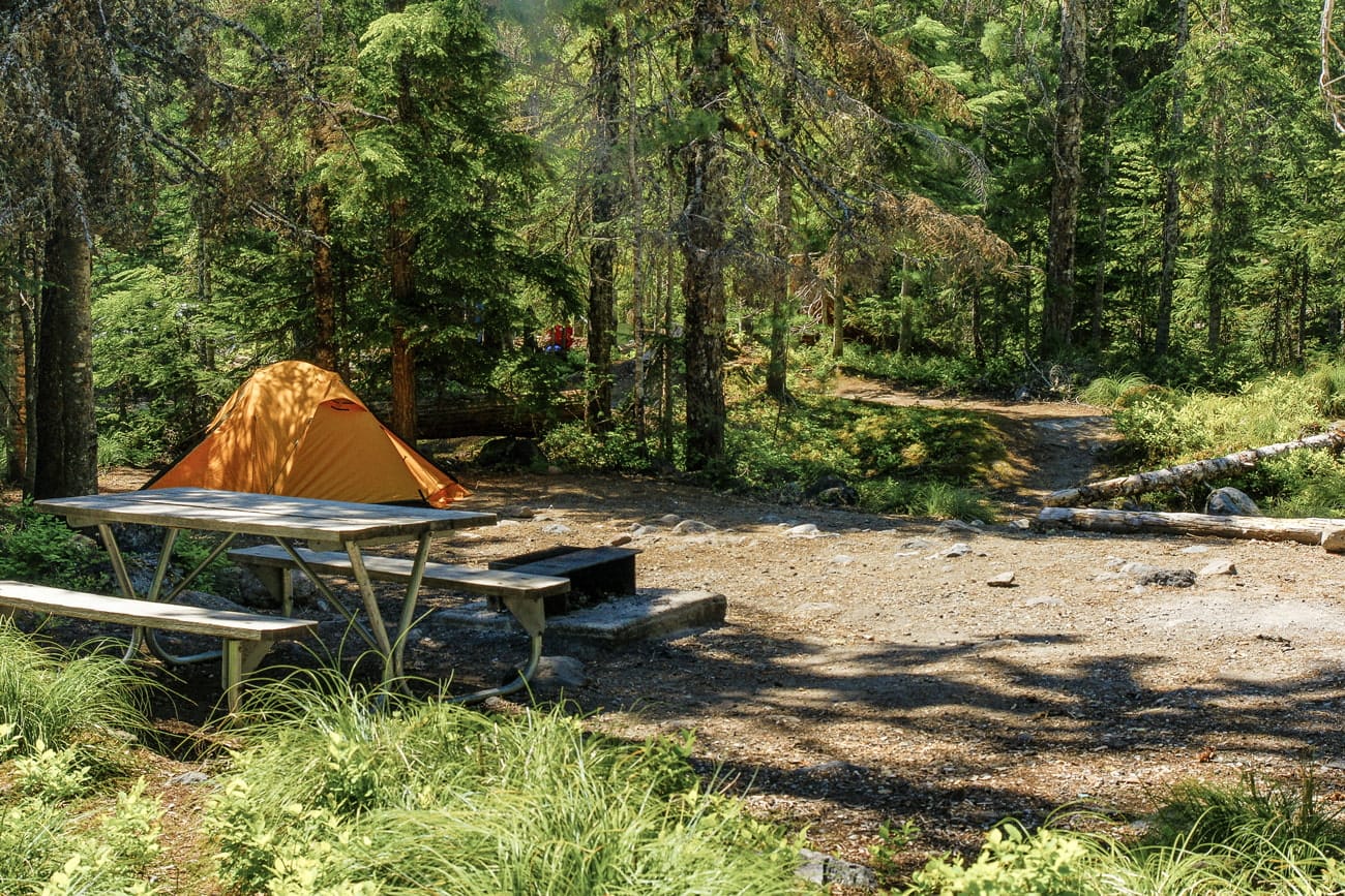 Cougar Rock Campground