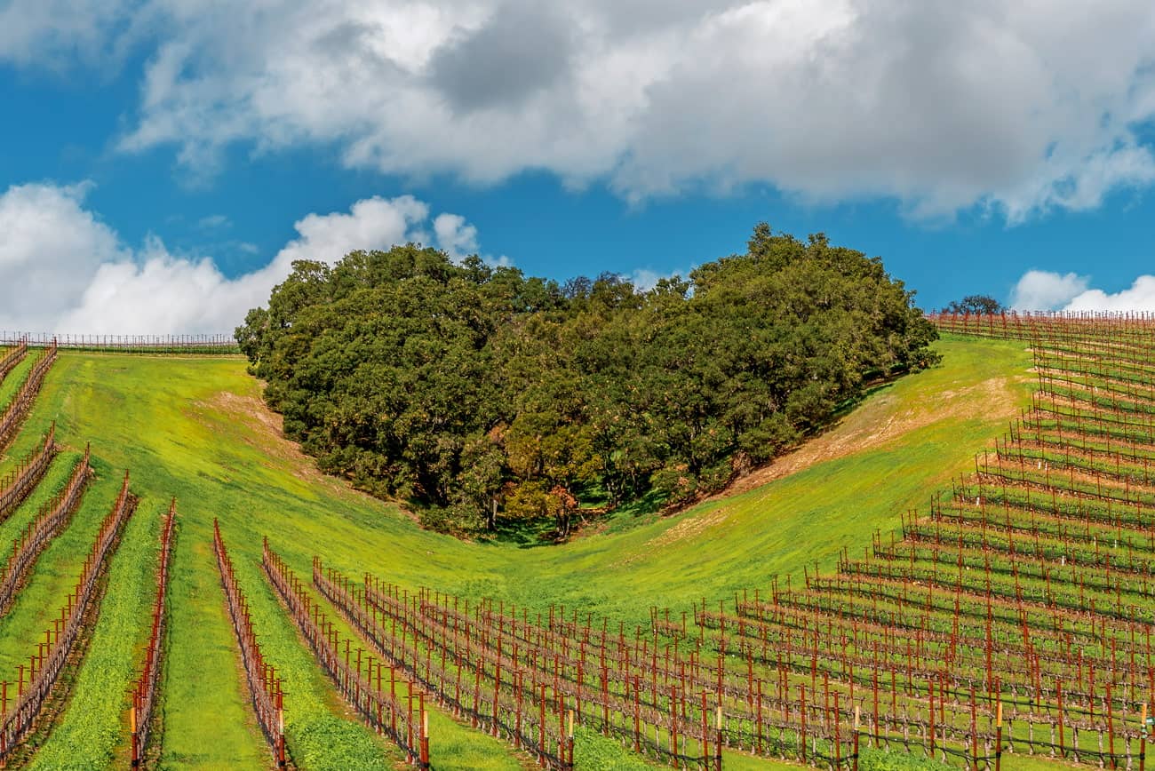 Paso Robles, California