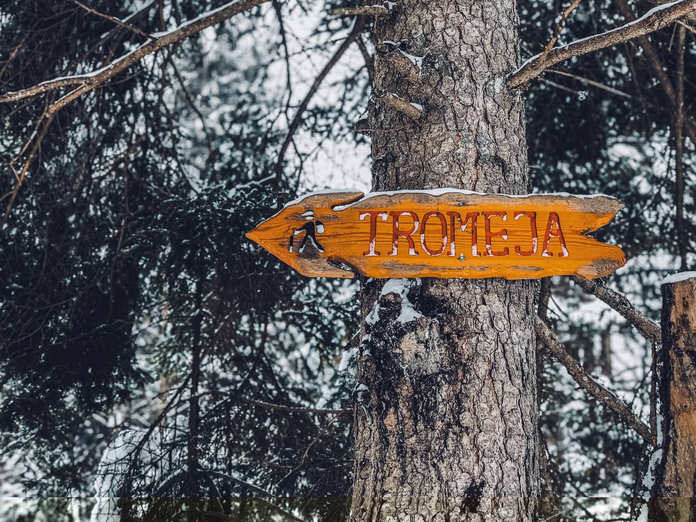 Tromeja trail, outside Rateče