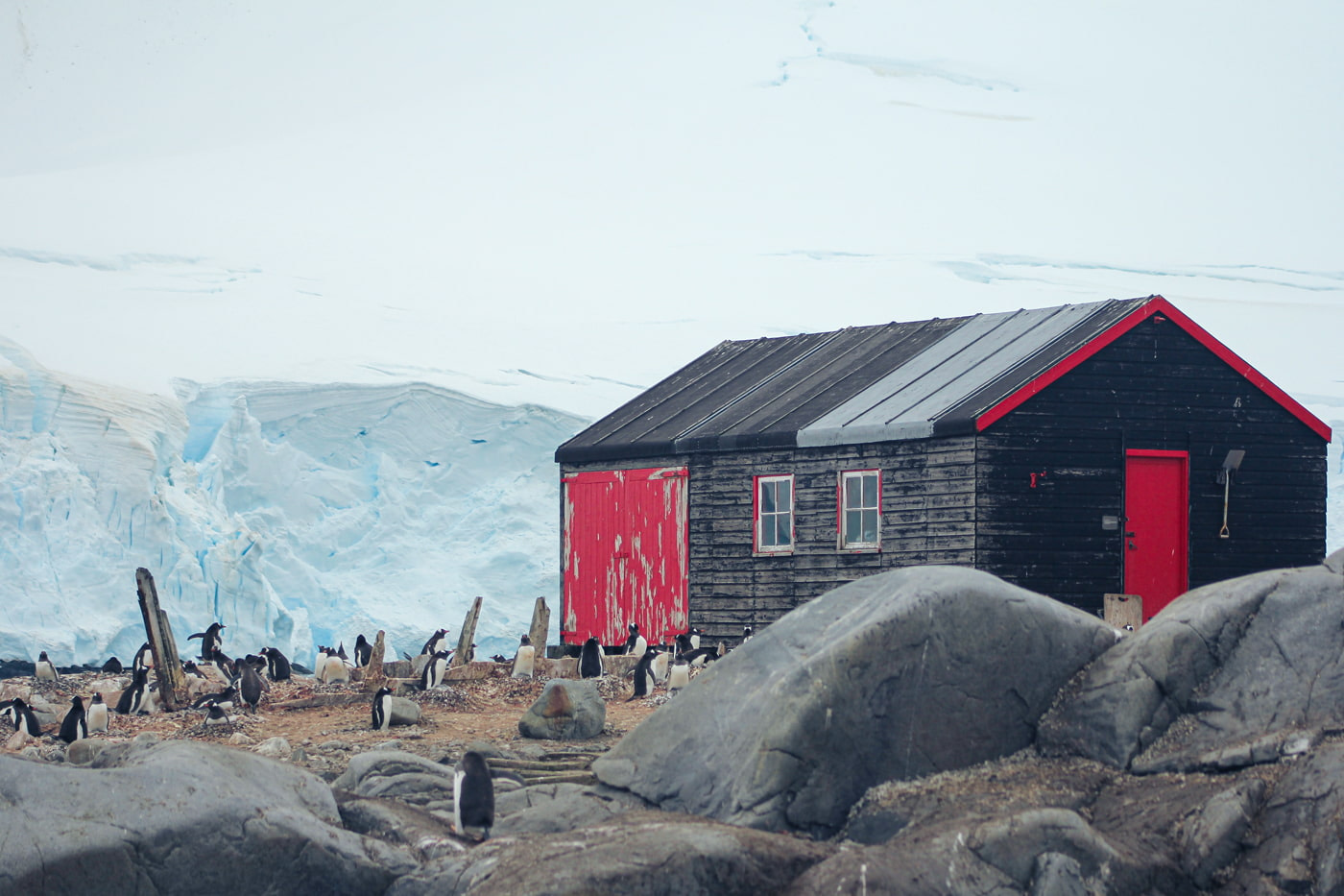 The Penguin Post Office