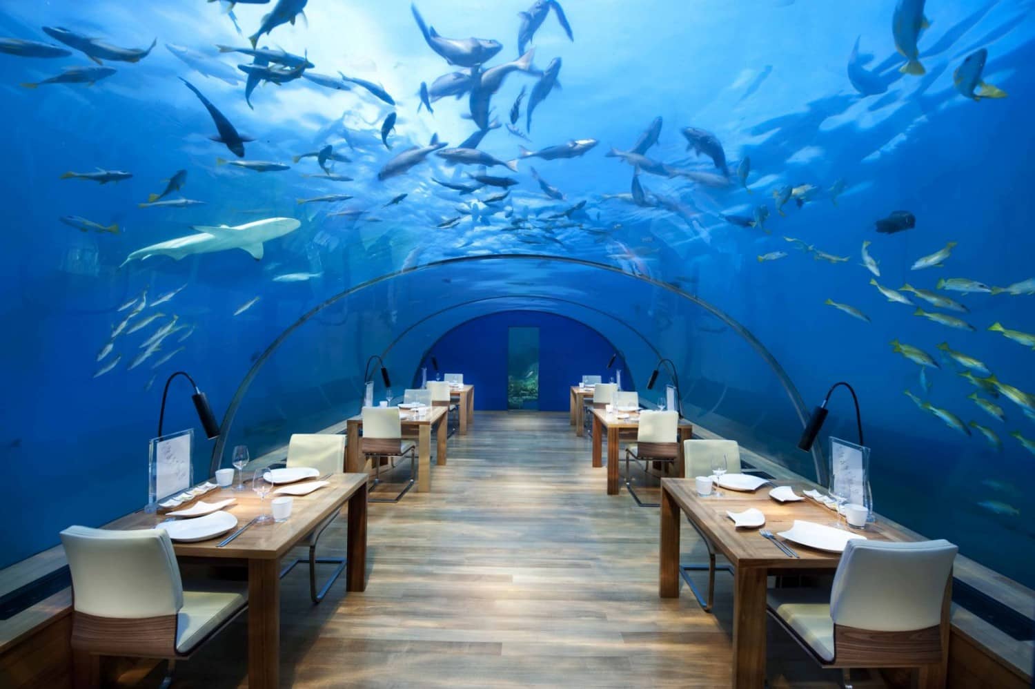 All-Glass Underwater Restaurant