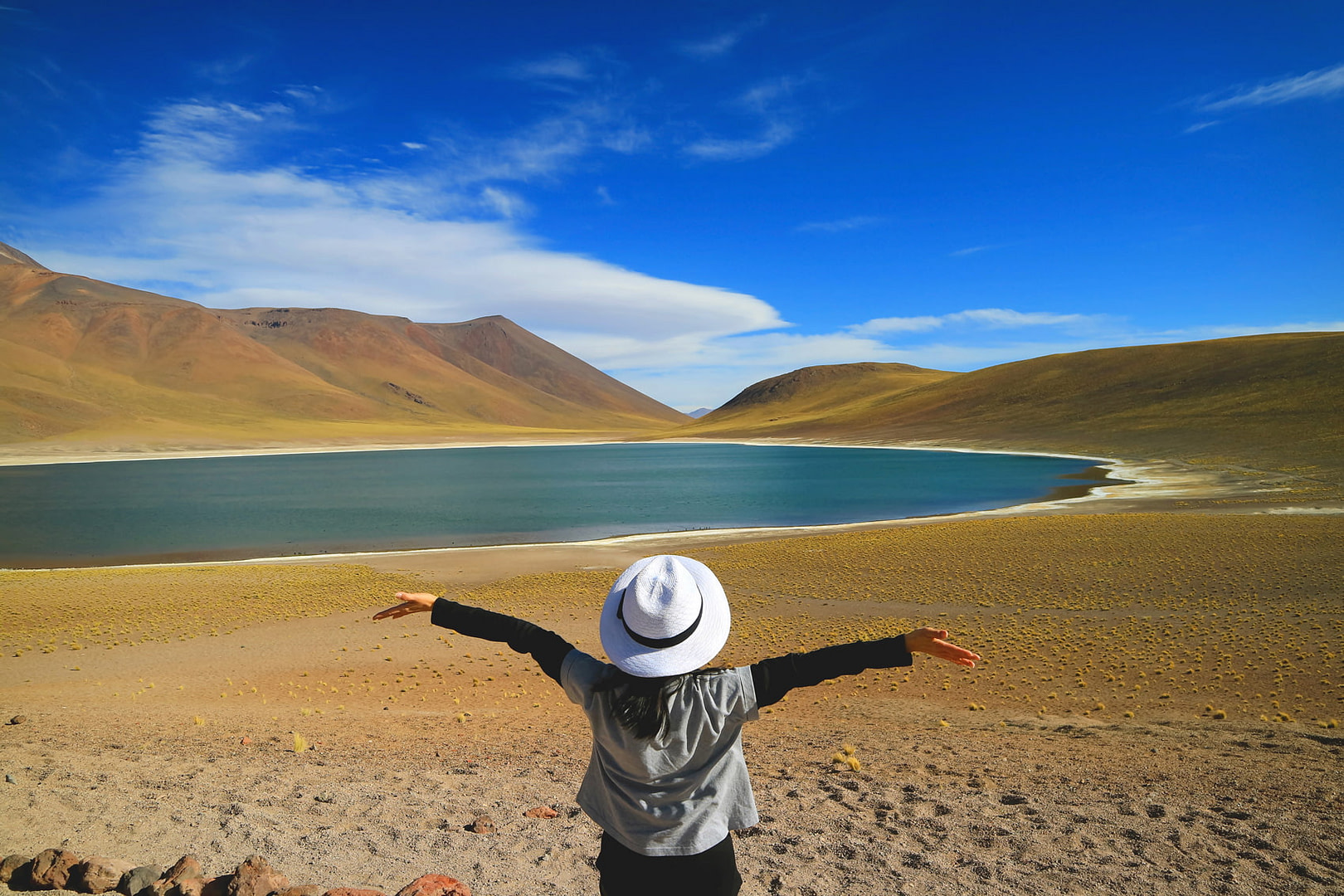 Miscanti Lagoon, Atacama Desert