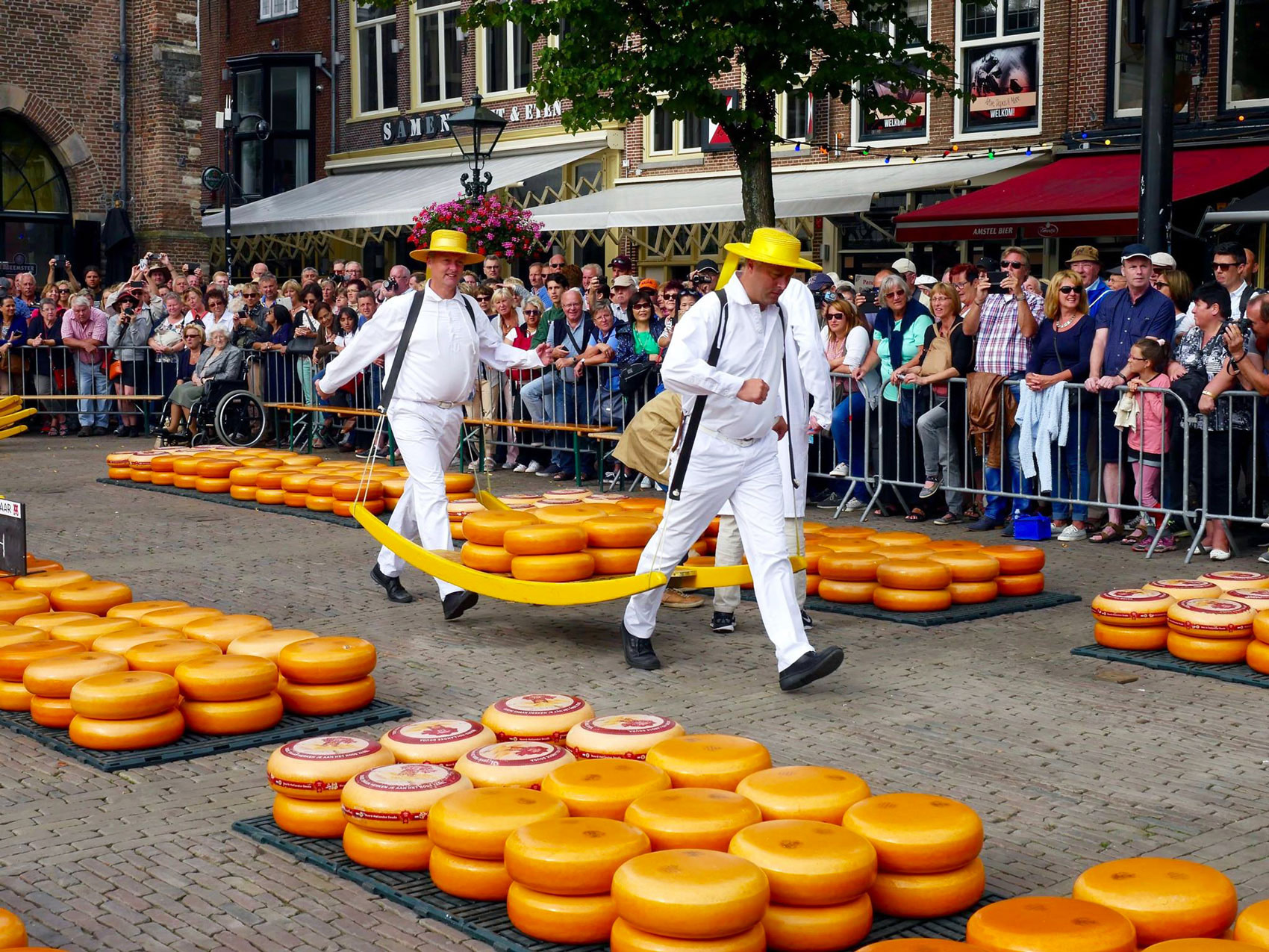 Cheese Market in The Netherlands