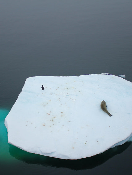 Antartica