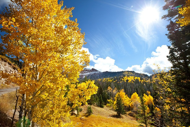 Fall mountain landscape