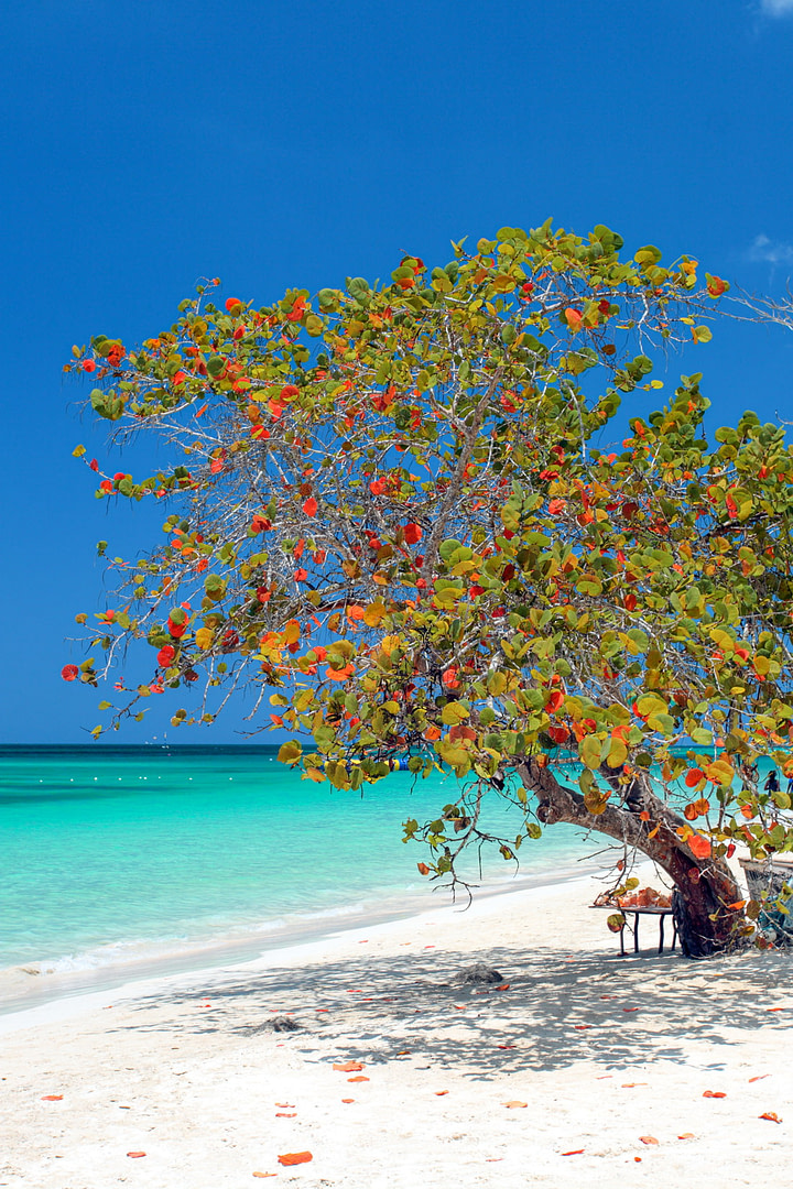 Remote beach in Jamaica