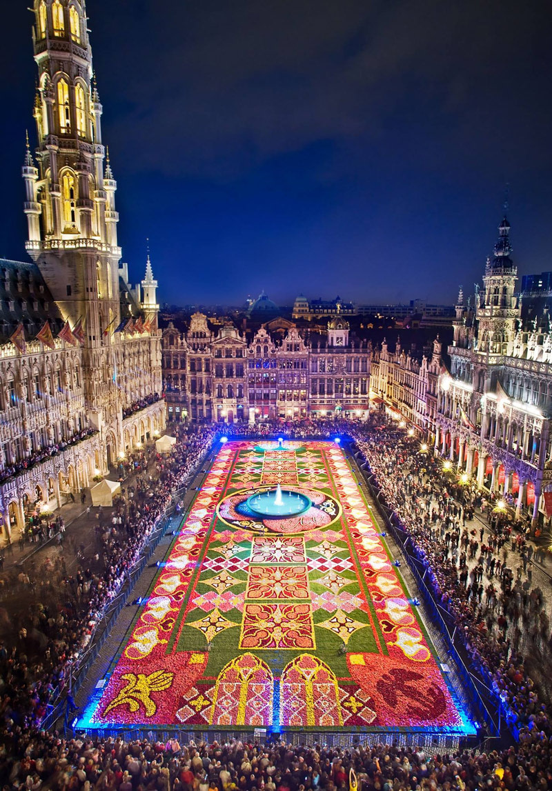 Flower carpet in Brussels