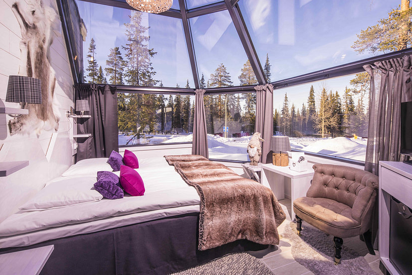 Glass igloo bedroom