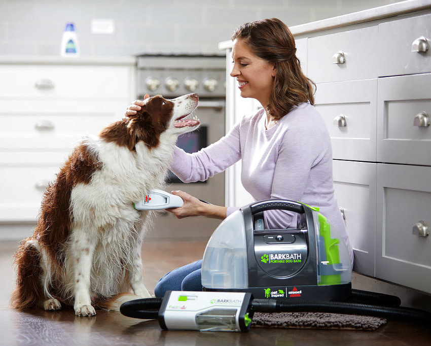 Portable dog bathing system