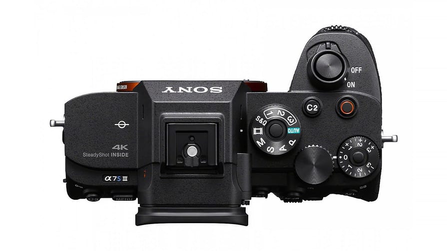 The 10 Best Compact Mirrorless Cameras to Buy for 2023
