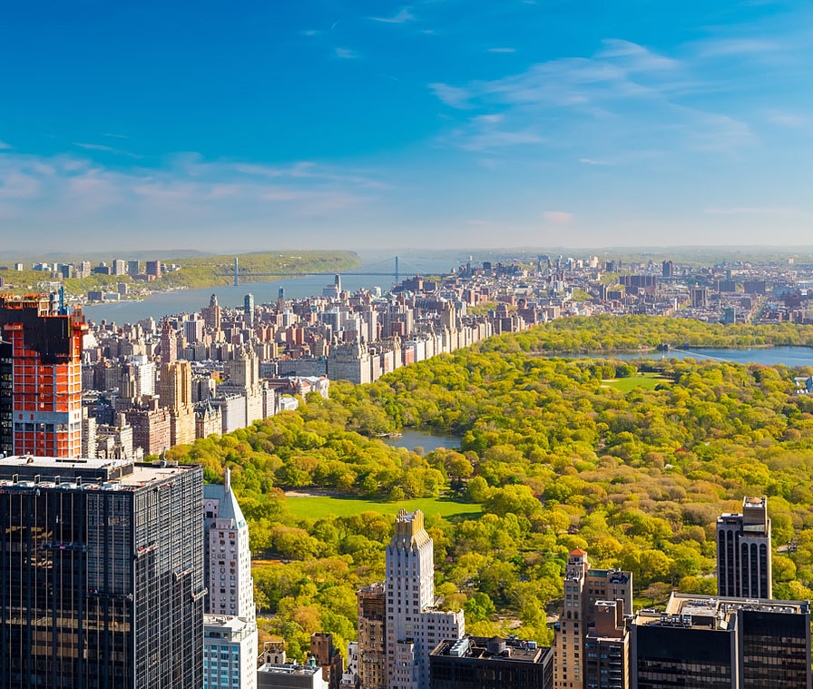 50 Free Things to Do in New York City