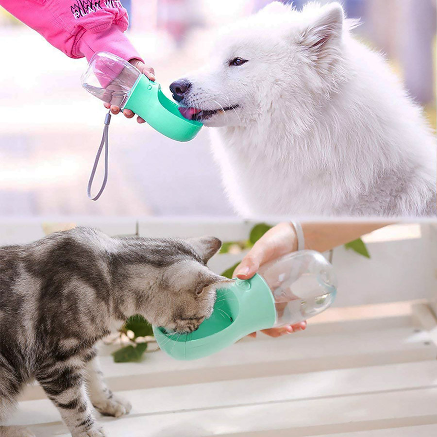 Water bottle for pets