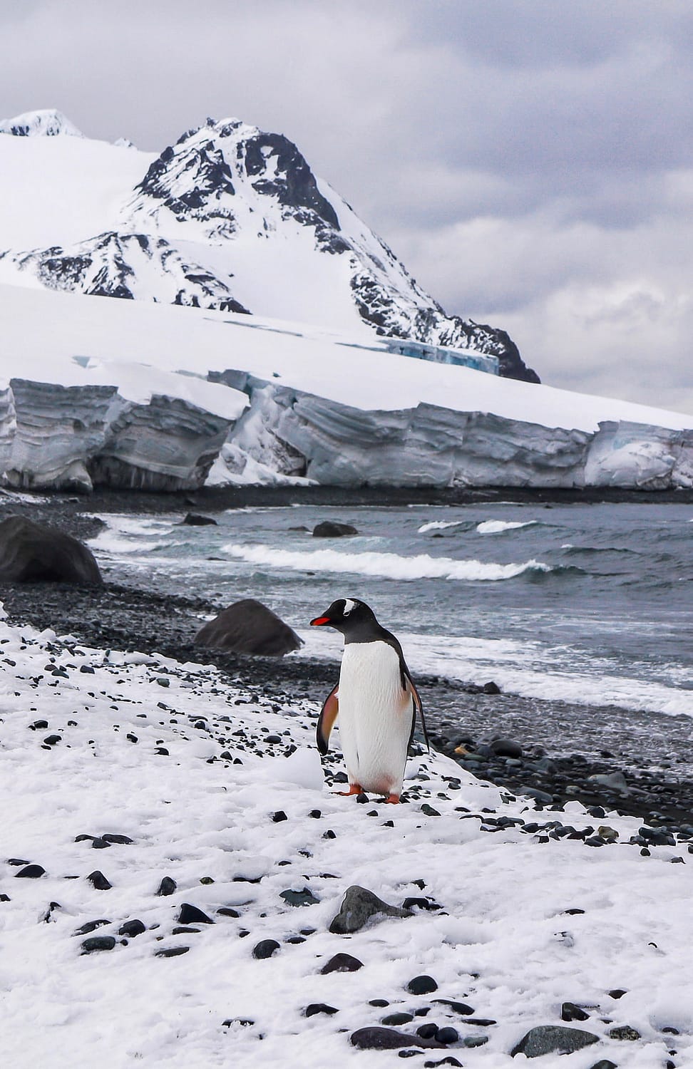 Antarctica in December
