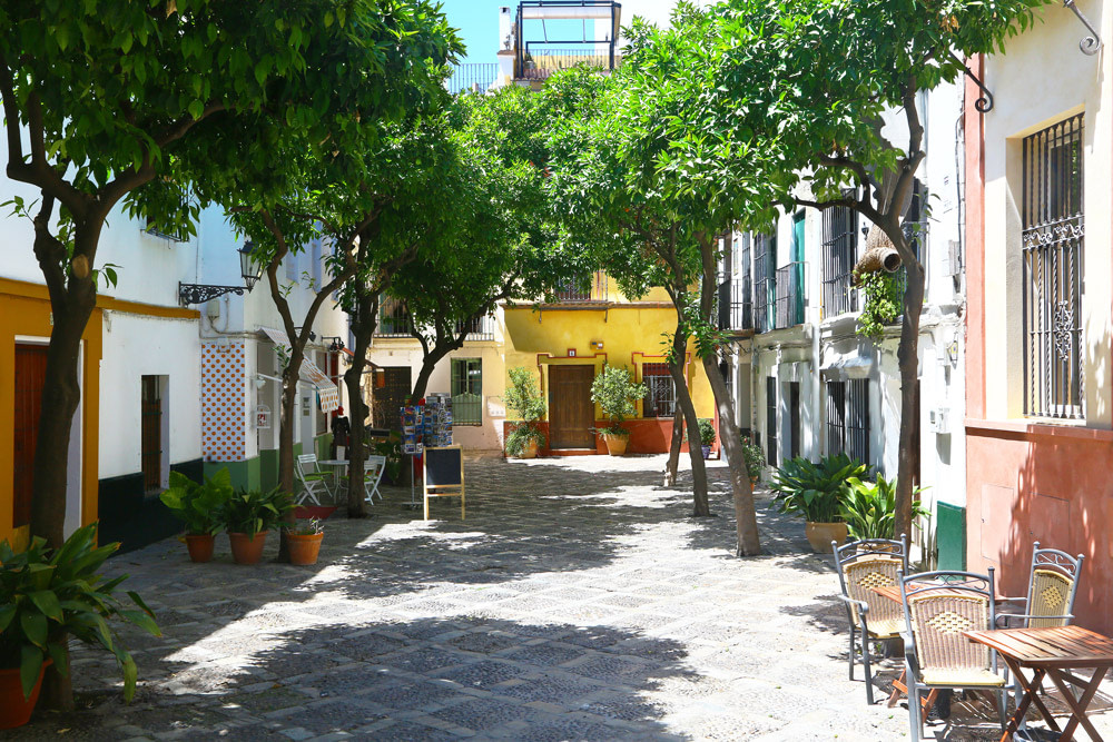 Barrio de Santa Cruz, Seville