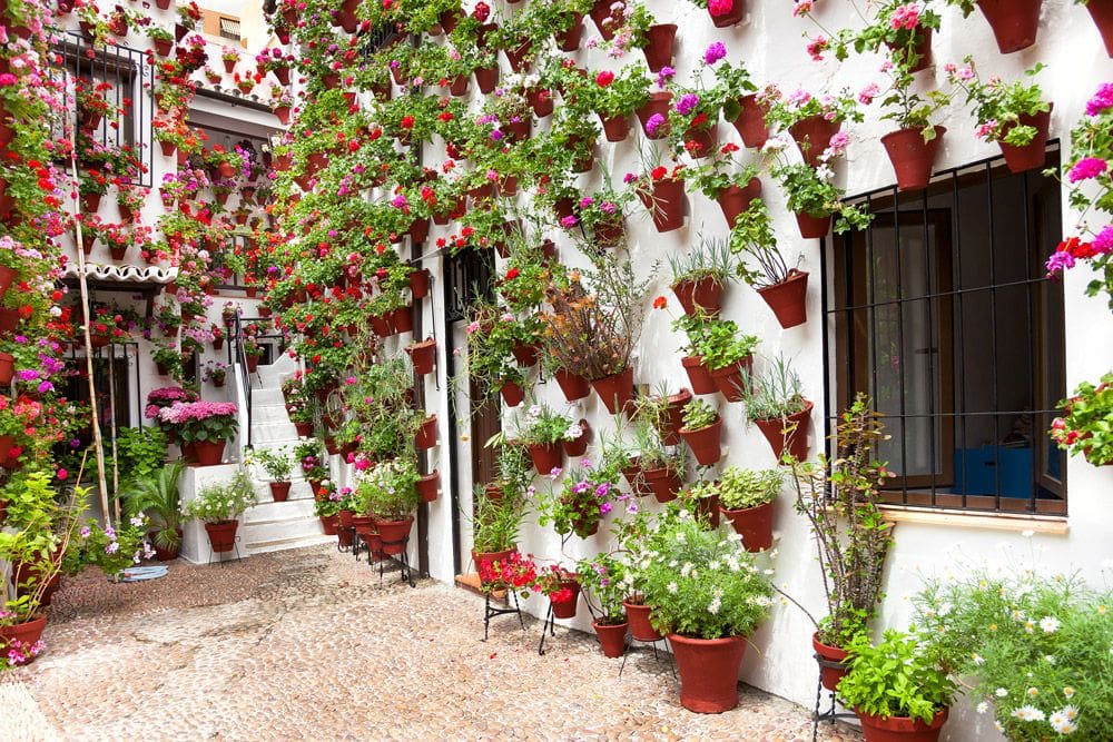 Courtyard with flowers in Cordoba