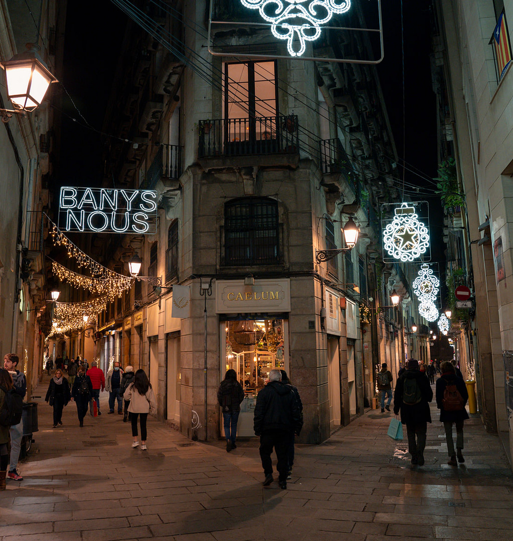 Christmas Walking Tour in Barcelona