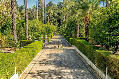 Alcazar Garden