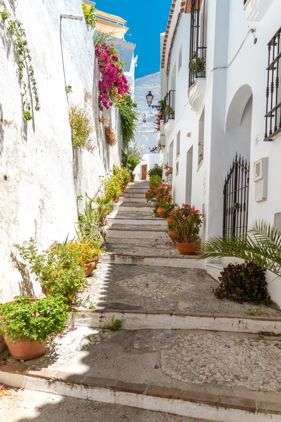 Beautiful street with flower pots