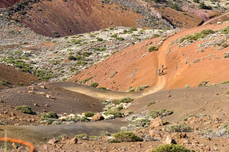 Cycling in Tenerife